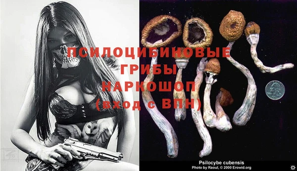 таблы Зерноград