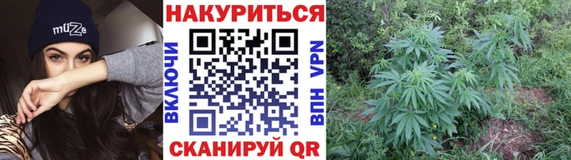 Купить  Соликамск  Бошки Шишки индика 